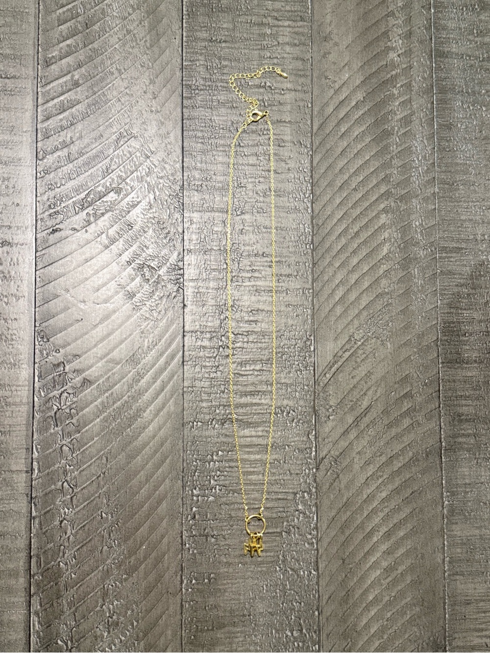 Gold-Plated Lighting Bolt Charm Necklace - Delicate Women's Jewelry
